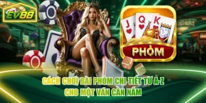Cách Chơi Bài Phỏm Chi Tiết Từ A-Z Cho Một Ván Cần Nắm